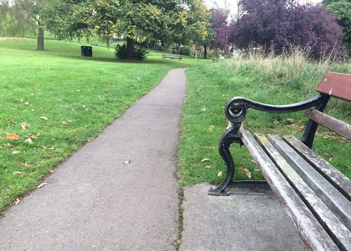 Пес, схований за лавкою