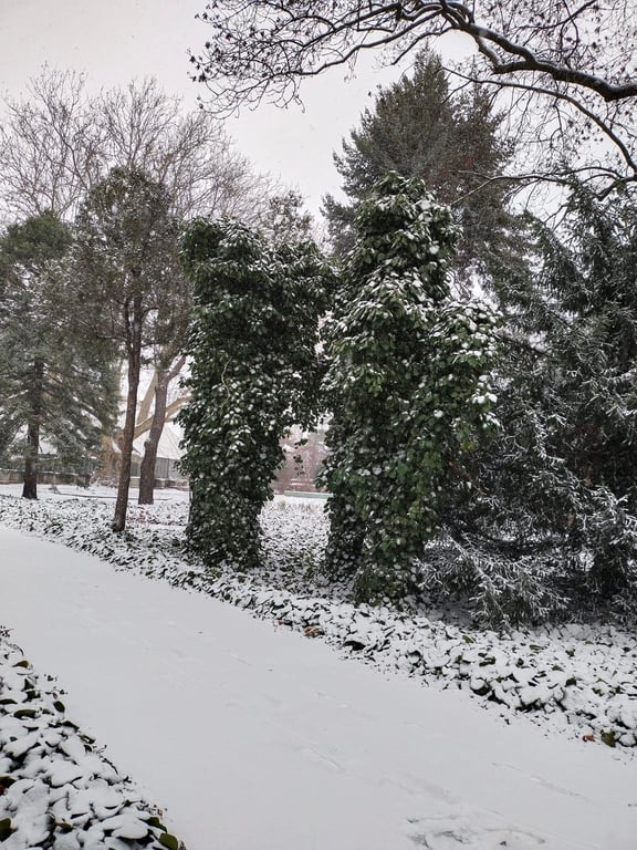 батанічний сад, одеса, фото