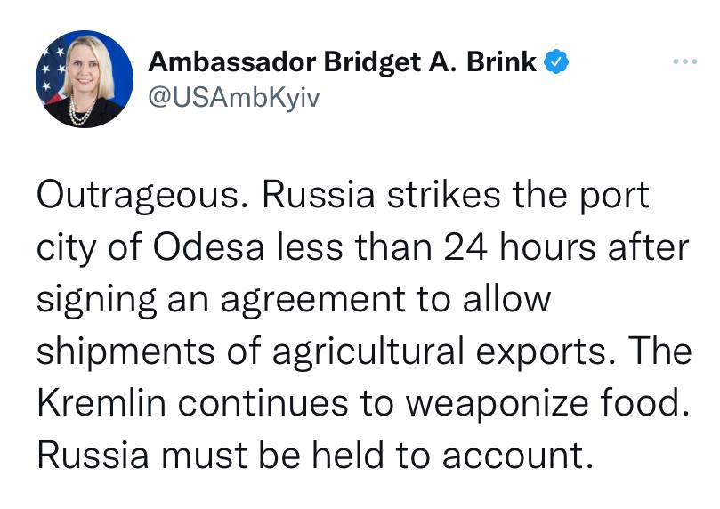 Бриджит Бринк, посол США в Украине