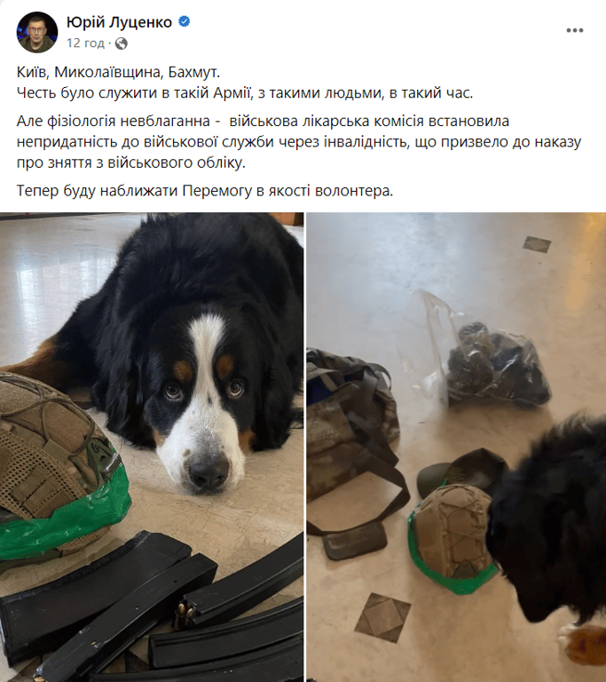 Луценко про звільнення ЗСУ