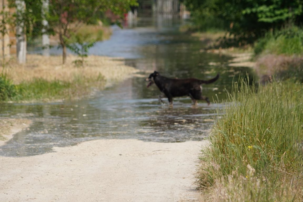 Затоплены улицы в Херсоне, 6 июня 2023г. Фото: Новости. LIVE