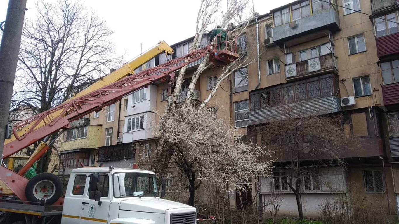 Сильный ветер свалил в Одессе более 100 деревьев: выходить на улицу все еще опасно