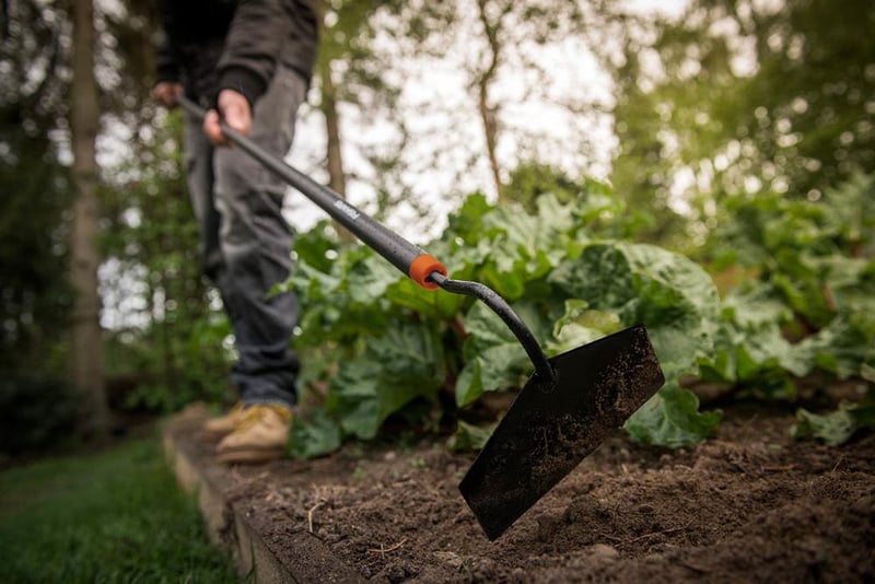 Що потрібно зробити на городі в червні