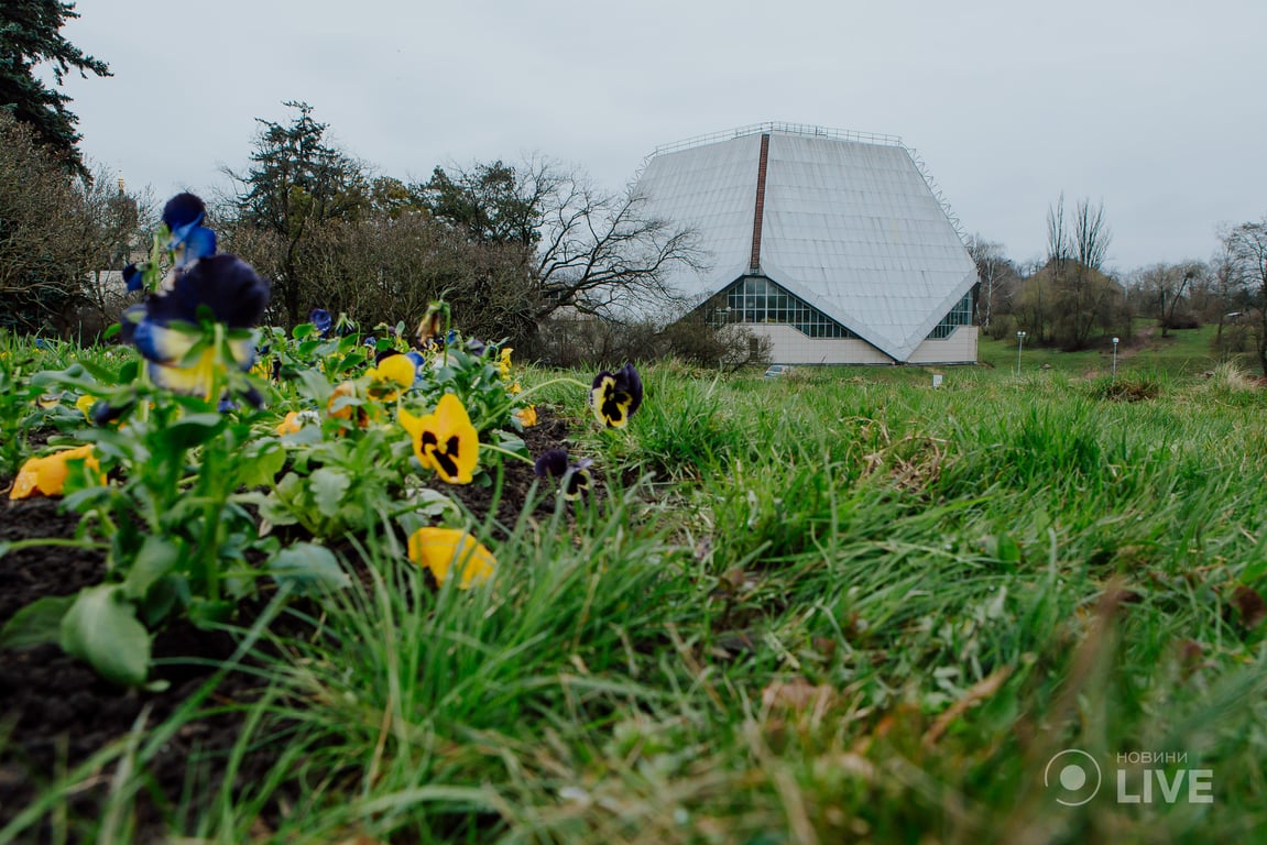 оранжерея ботсад