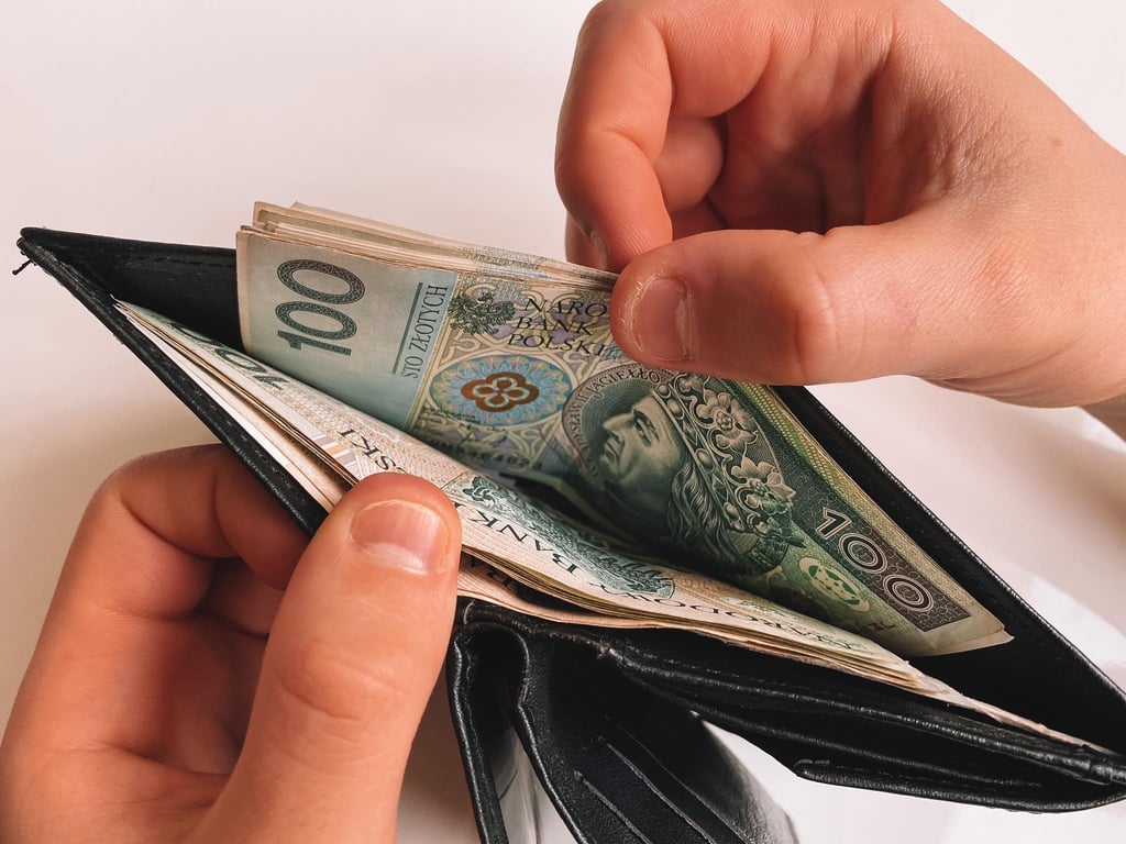 За что можно получить штраф в Польше