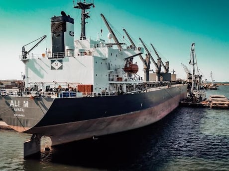 Судно Ali M. Фото: Дмитро Москаленко