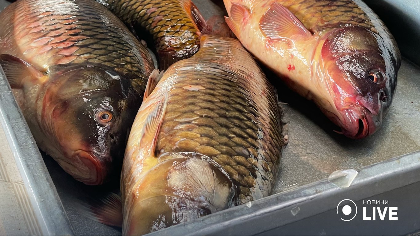 Для любителів риби на "Привозе" є великий асортимент.