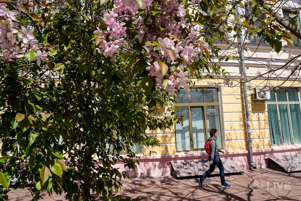 Весна в Киеве