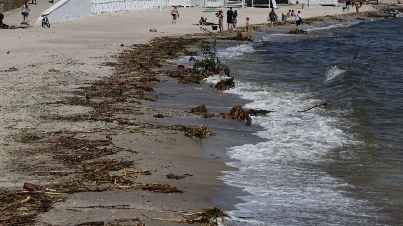 море в одессе