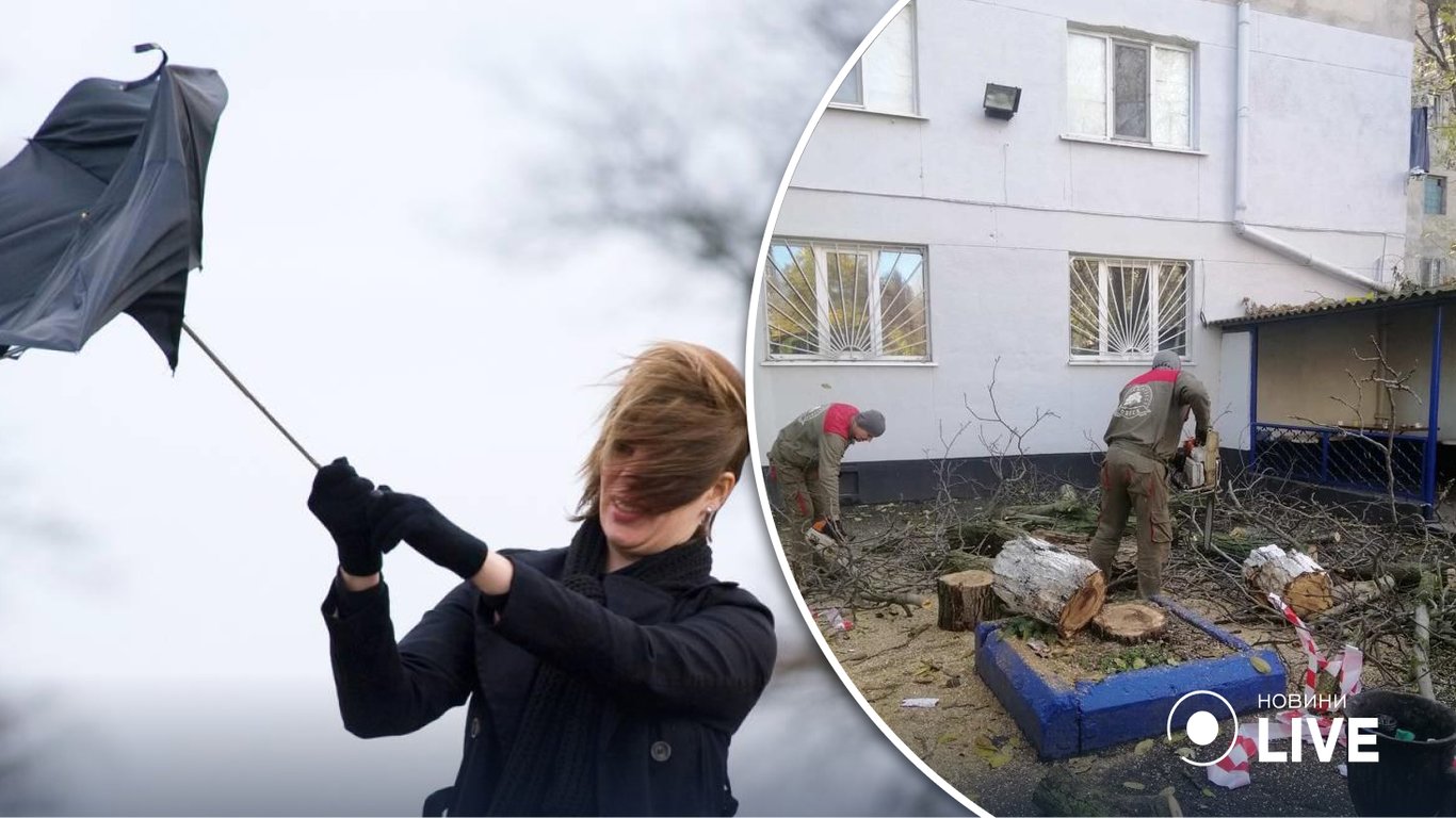Негода в Одесі: куди звертатись якщо впало дерево