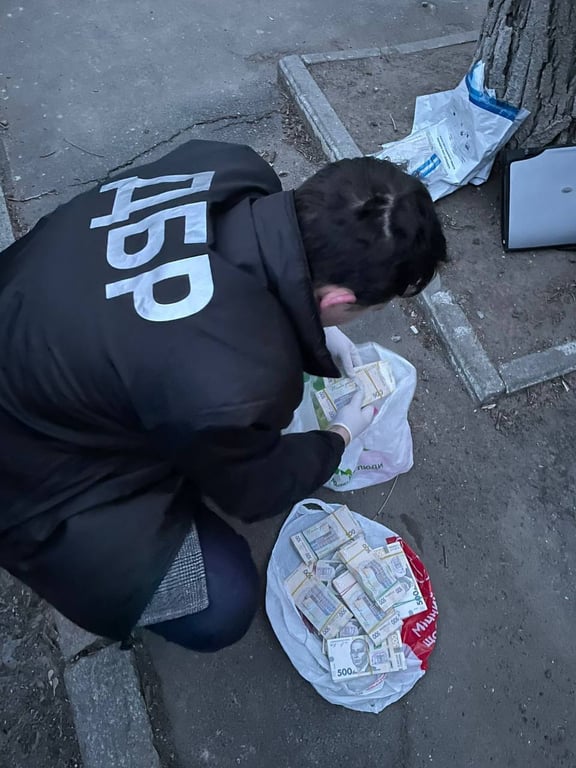 Взяточник из ТрО