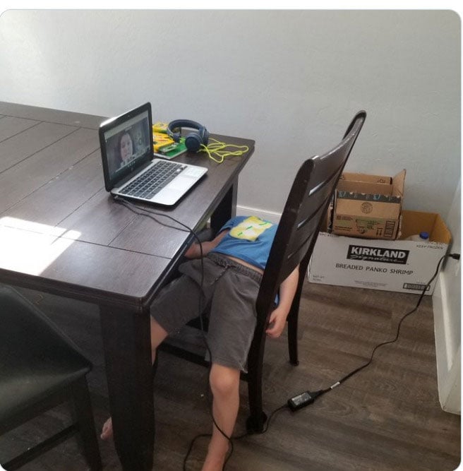 Важке дистанційне навчання: курйозне фото