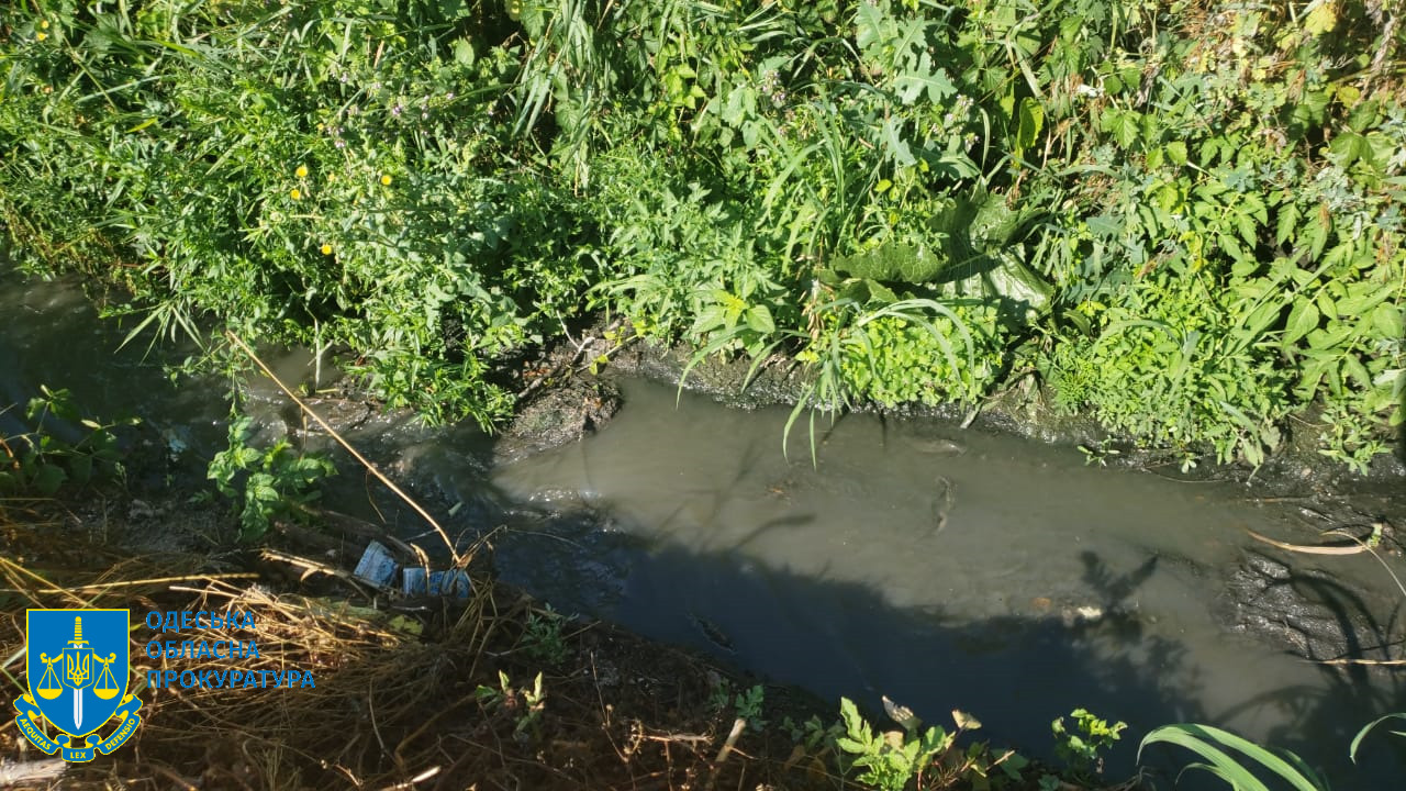 В лісі утворилось болото. Фото: Одеська обласна прокуратура