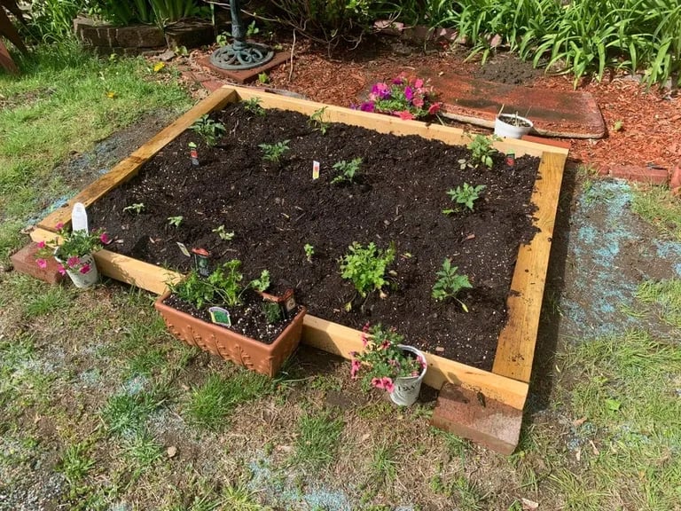 Коли в тебе є брат: курйозне фото