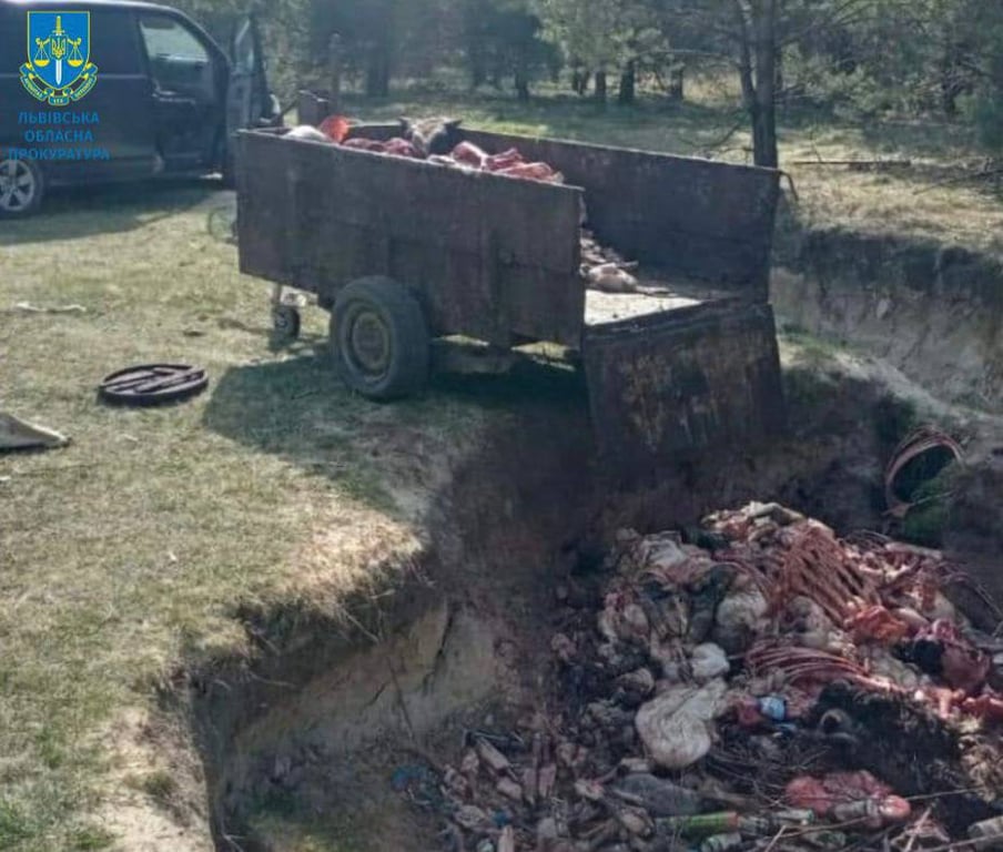 Рештки тварин у лісі. Фото: Львівська обласна прокуратура 