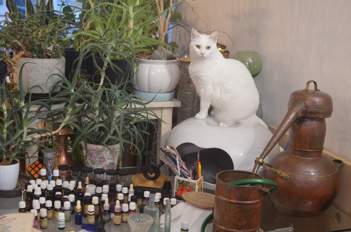 парфумерка