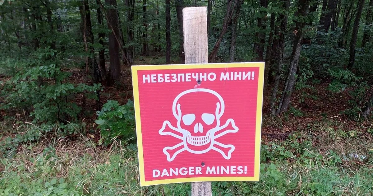 Можно ли отдыхать на природе во время действия военного положения