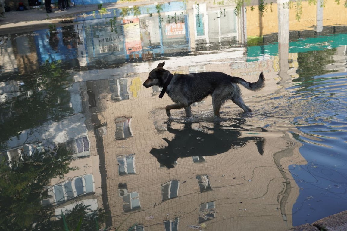 Затоплены улицы в Херсоне, 6 июня 2023г. Фото: Новости. LIVE