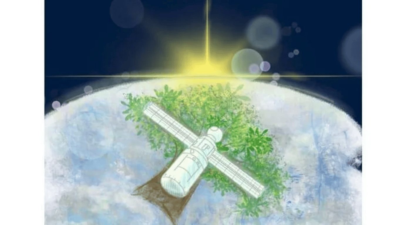 супутник з дерева