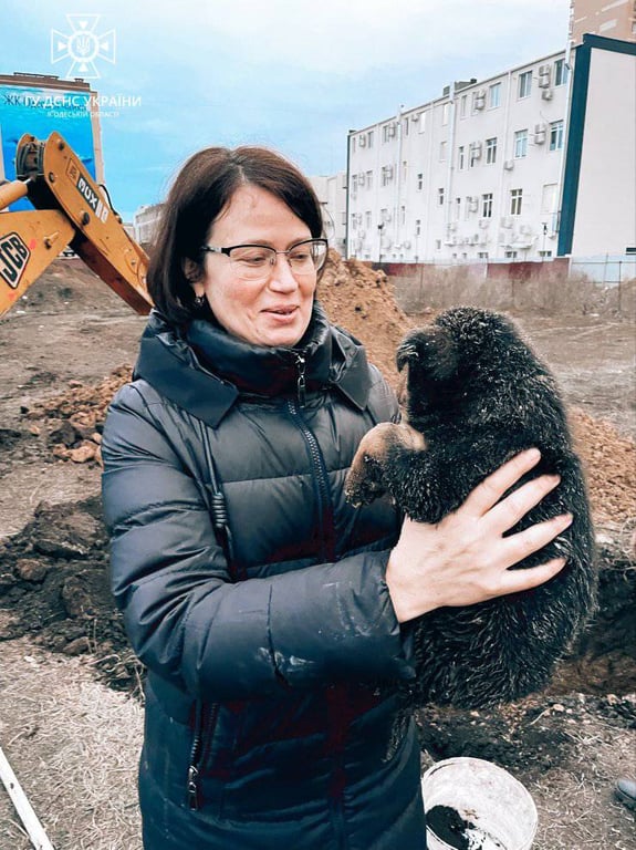 порятунок цуценя