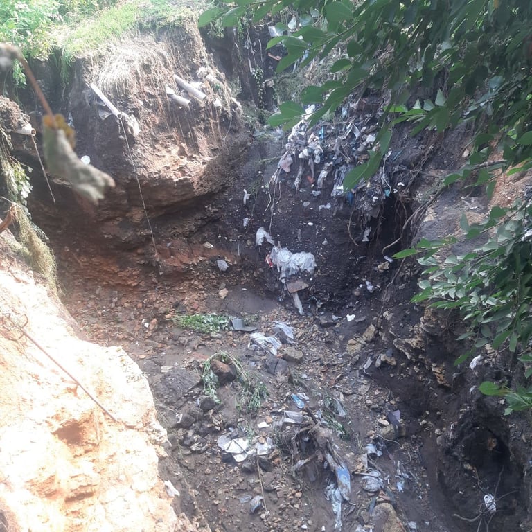 Едва не задело дома: в Одесской области под землю ушел участок огорода