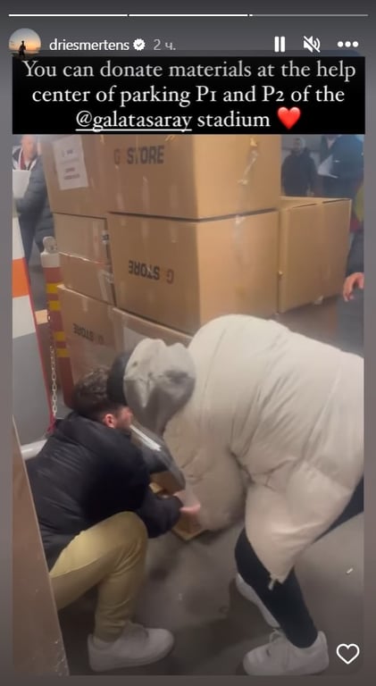 Дріс Мертенс