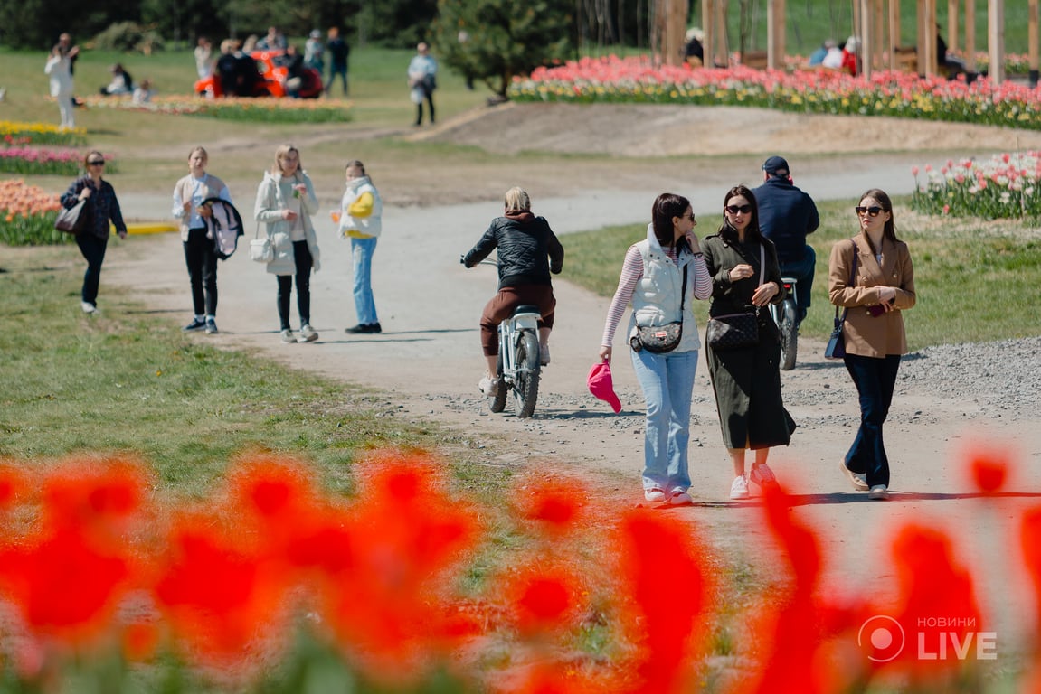 Сезон тюльпанів в Добропарку