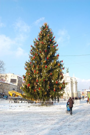 ялинка, Львів, 2010