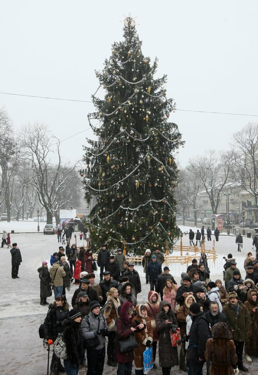 ялинка, Львів, 2011