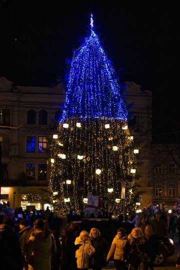 ялинка, Львів, 2015