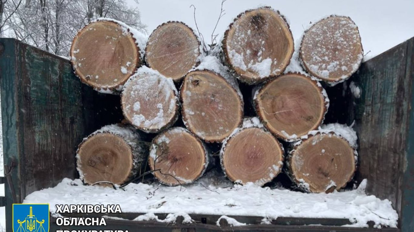 В Харьковской области раскрыли 