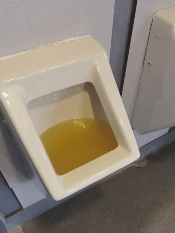 Казарми королівської гвардії у Британії