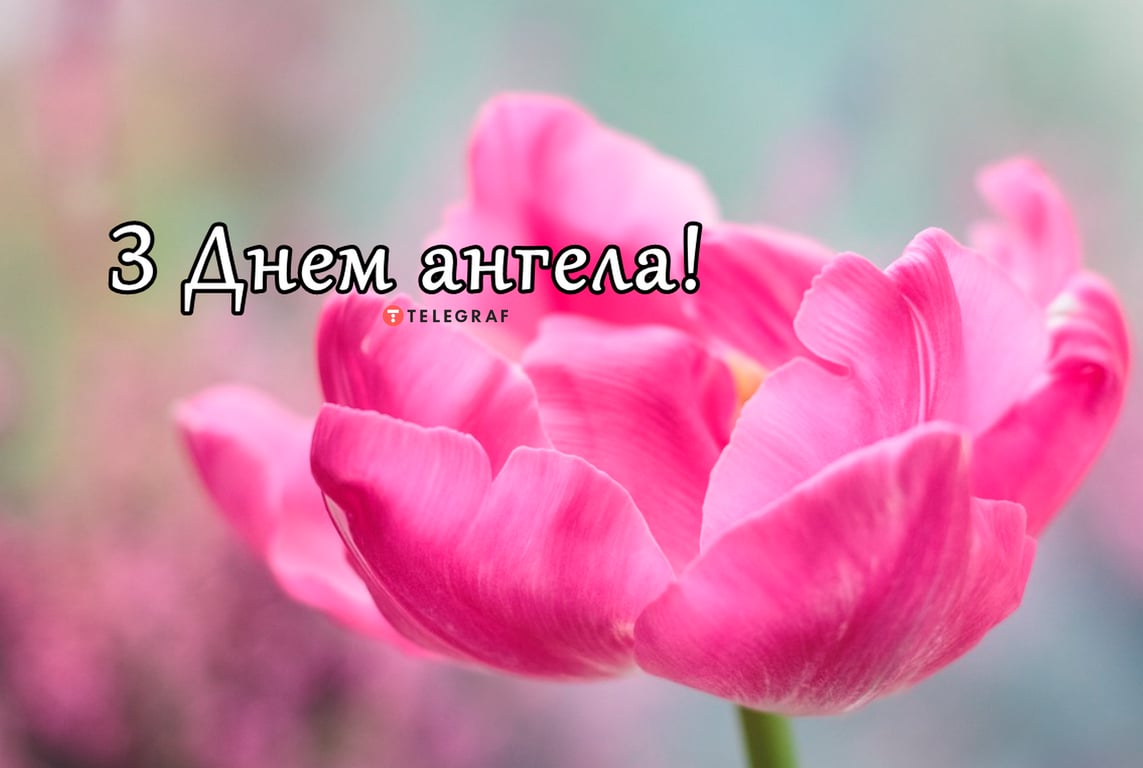 Добірка красивих листівок-привітань з Днем Ангела Дарини