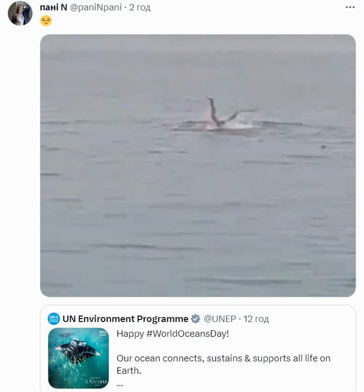 Меми про акулу, яка з'їла росіянина у Єгипті. Фото: соцмережі