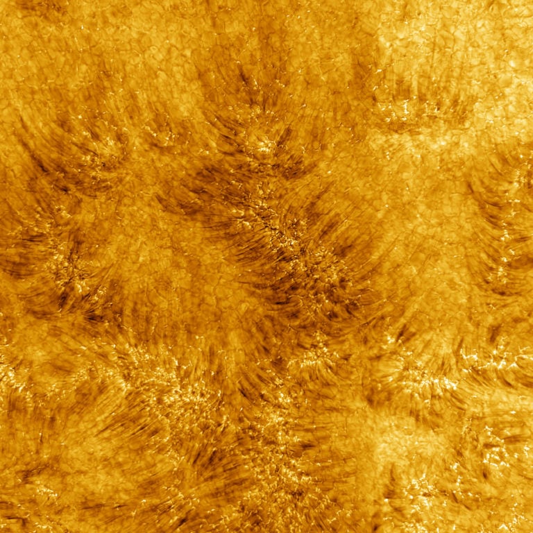 Фрагмент хромосферы Солнца в высоком разрешении