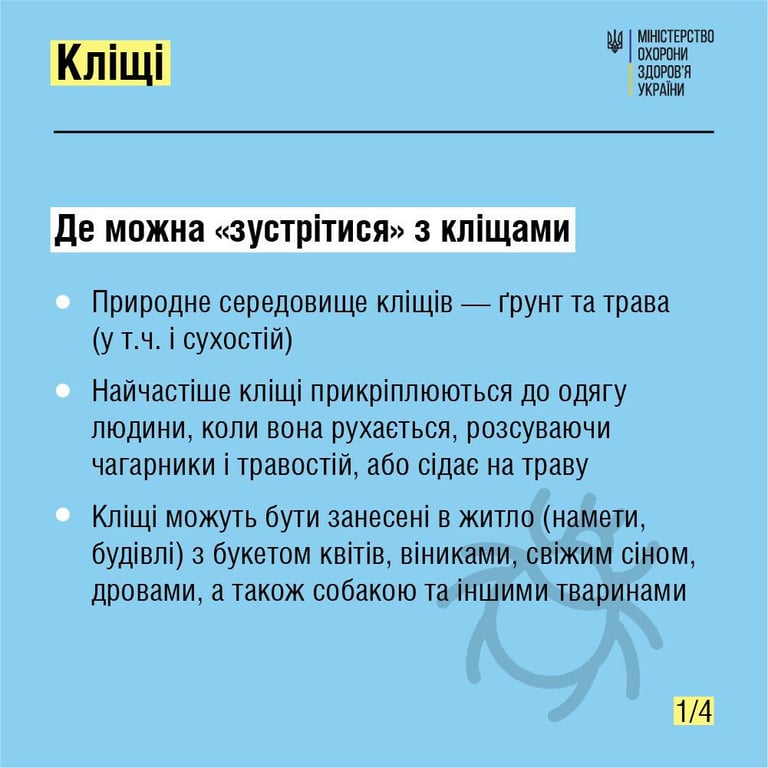 Кліщі