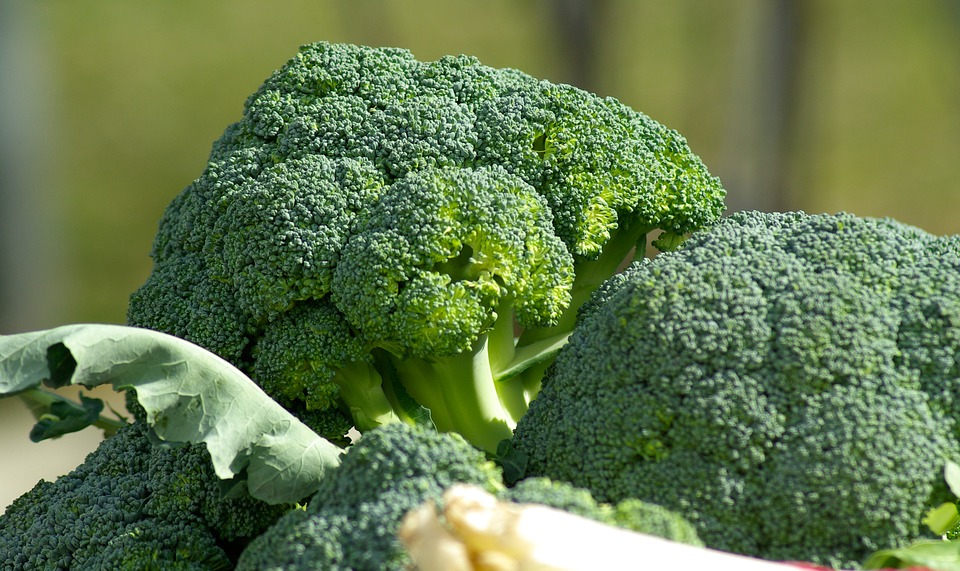 Яка їжа допомагає спалювати жир - броколі