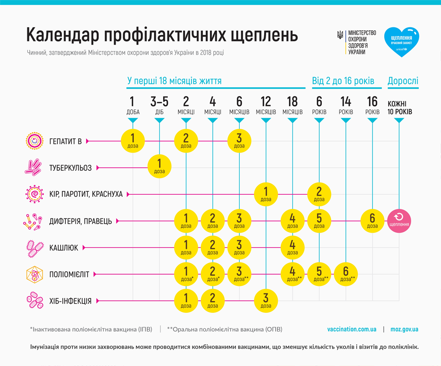 календарь прививок