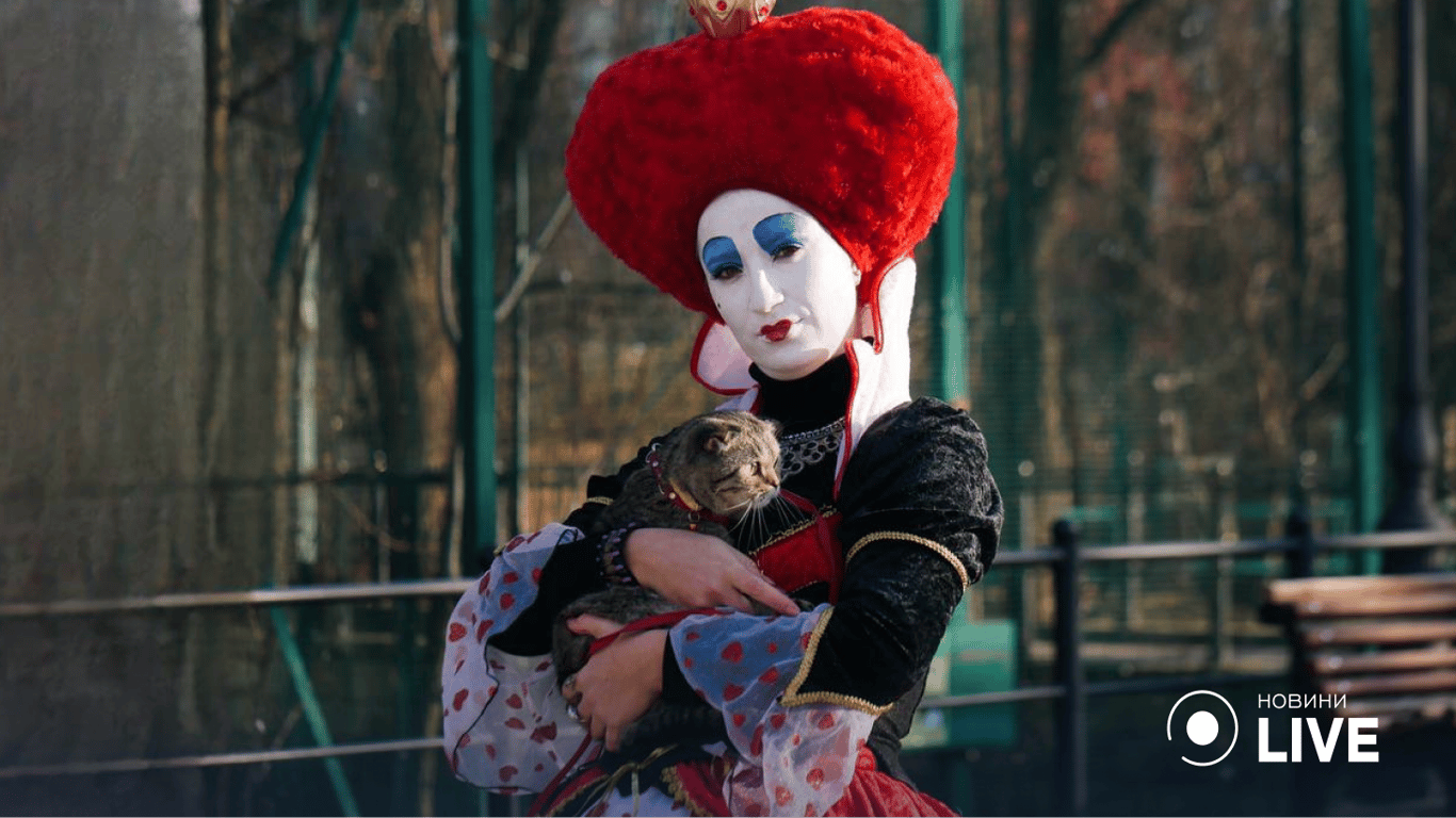 клип одесский зоопарк фото 4