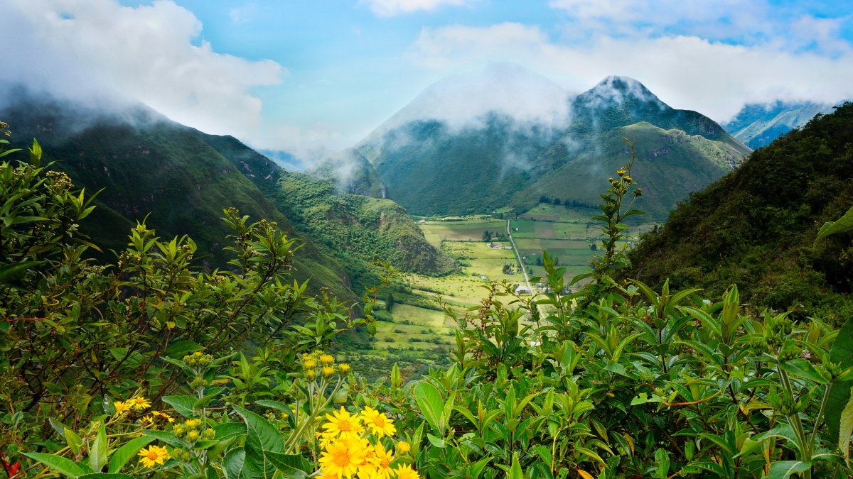 Конституция Эквадора защищает окружающую среду
