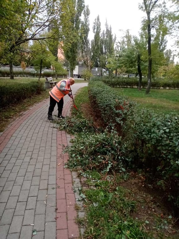 Лавандовое поле