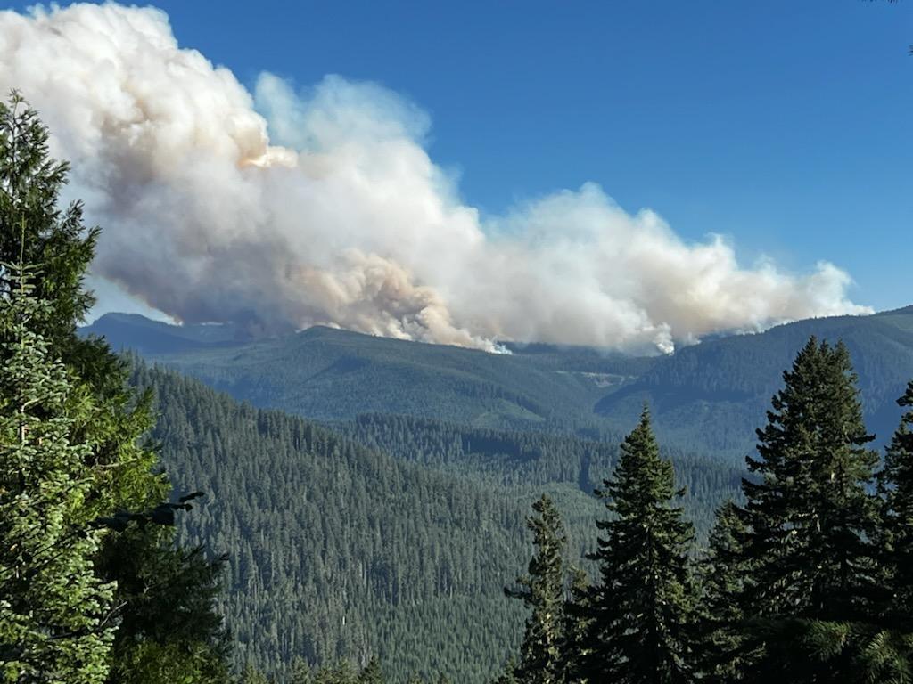 Лісові пожежі в Орегоні. США