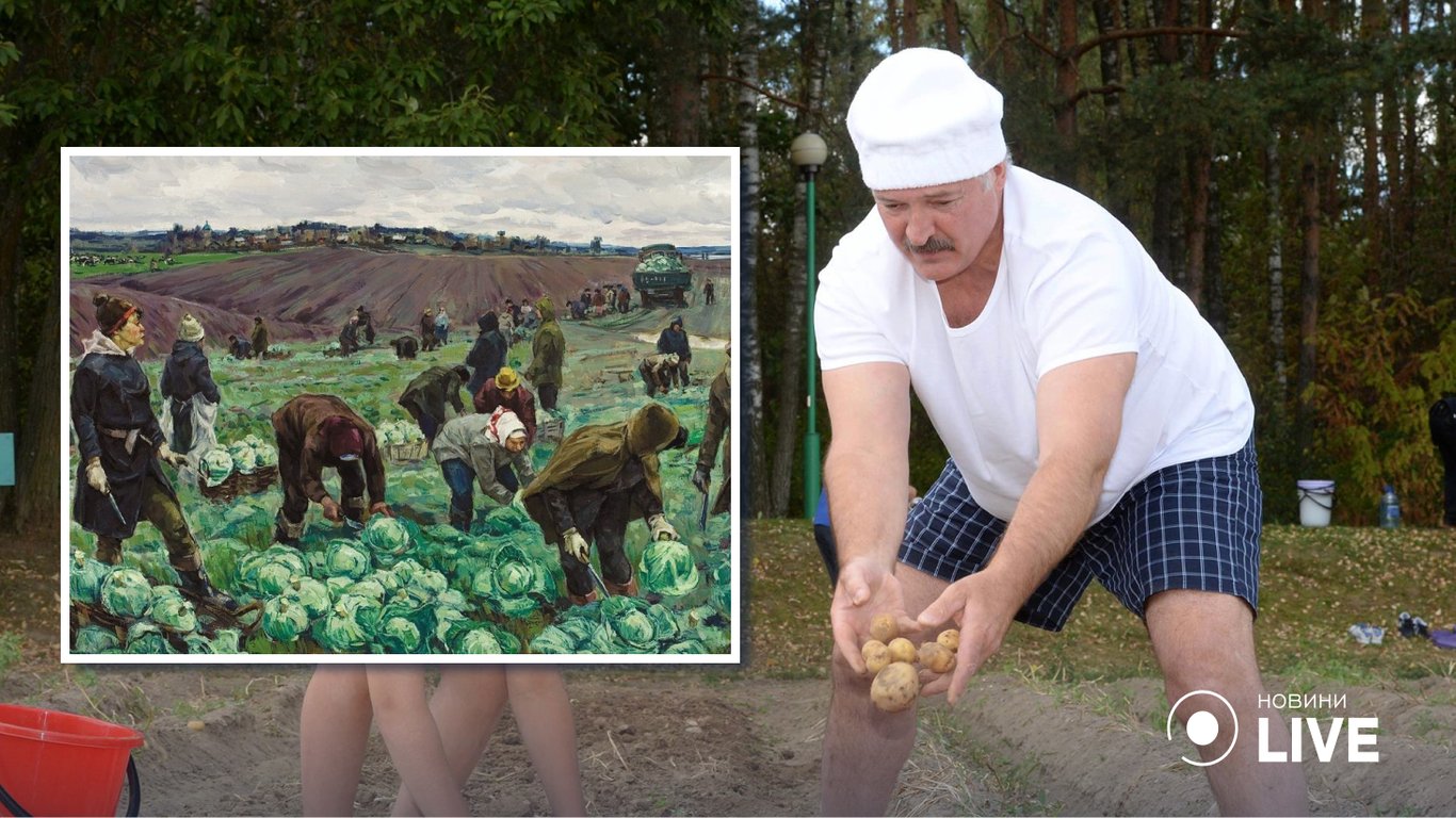 Лукашенко требует от чиновников мобилизовать на сбор урожая школьников и студентов