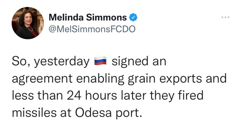 Мелинда Симмонс, посол Великобритании в Украине