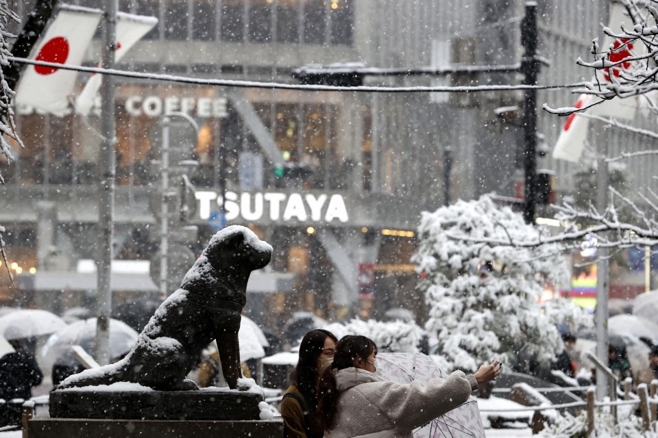 Снігопад у Токіо