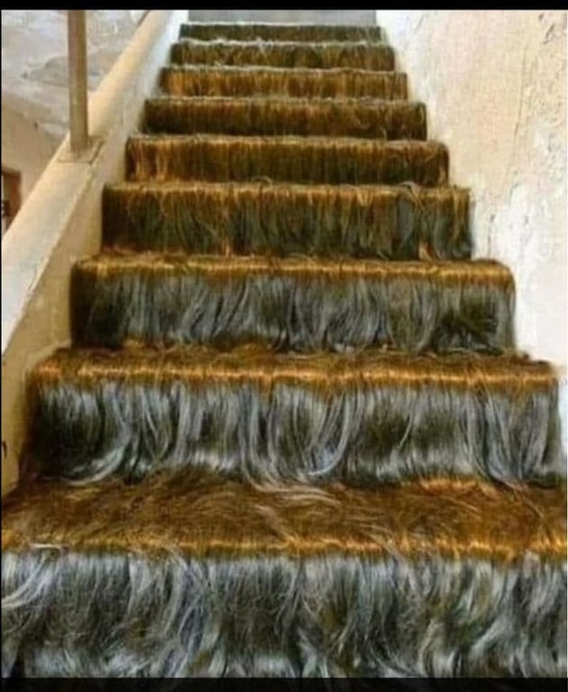 Власник будинку замість килиму простелив на сходах волосся