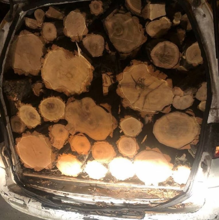 Виявили повну машину свіжозрізаних дерев: в Одесі затримали водія авті