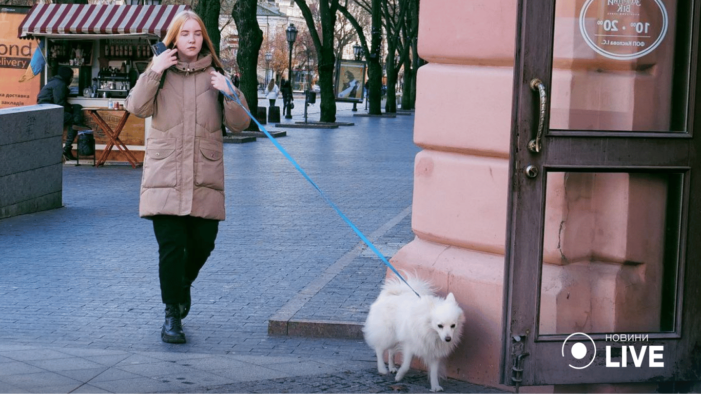 одесса фото 5