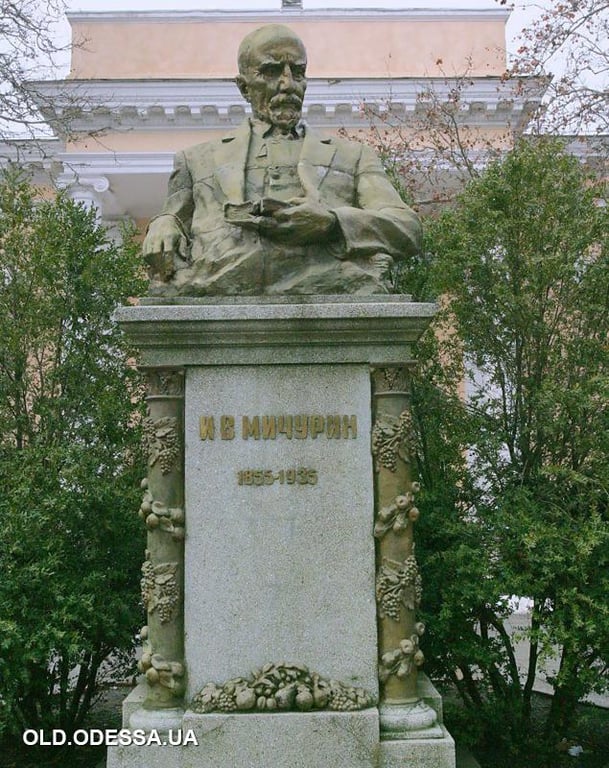Одесский селекционно-генетический институт - фото здания и скульптур