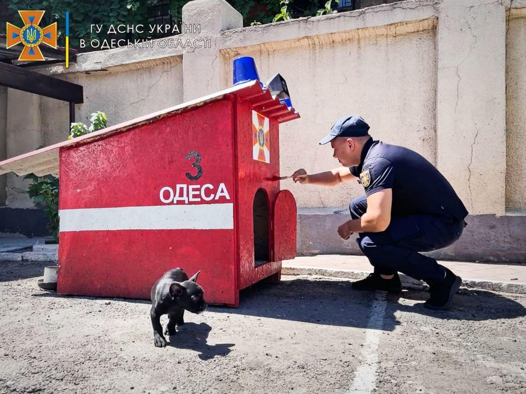 одесский спасателям подарили собаку